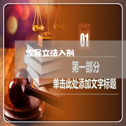 家暴立法入刑/2023120329260