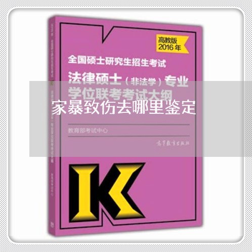 家暴致伤去哪里鉴定/2023110761692