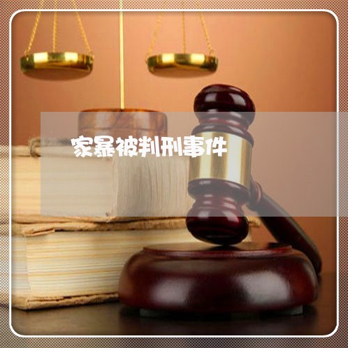 家暴被判刑事件/2023121859572