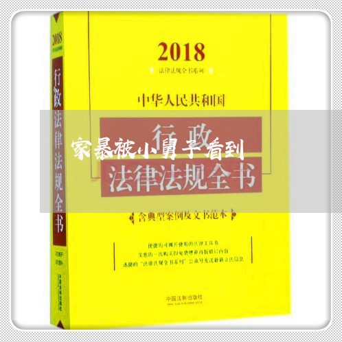 家暴被小舅子看到/2023100739292