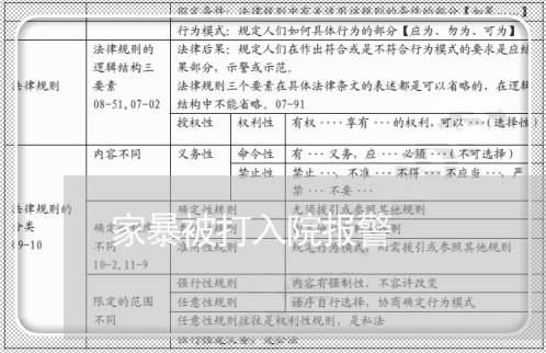 家暴被打入院报警/2023101307260