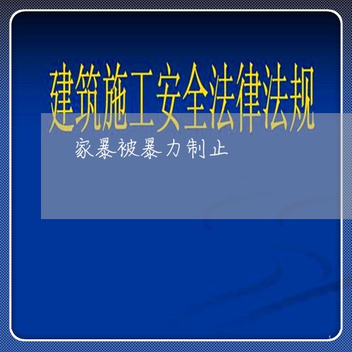 家暴被暴力制止/2023091064926