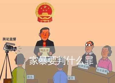 家暴要判什么罪/2023121862704