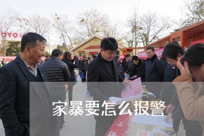 家暴要怎么报警/2023121636151