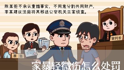 家暴轻微伤怎么处罚/2023110896341