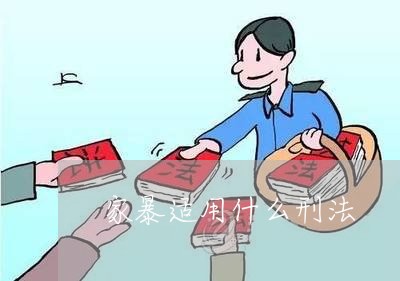 家暴适用什么刑法/2023101028039