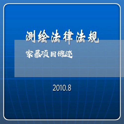 家暴项目概述/2023120449372