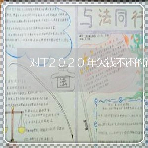 对于2020年欠钱不还的新政策/2023110888481