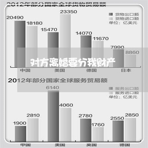 对方离婚要分我财产/2023110962714