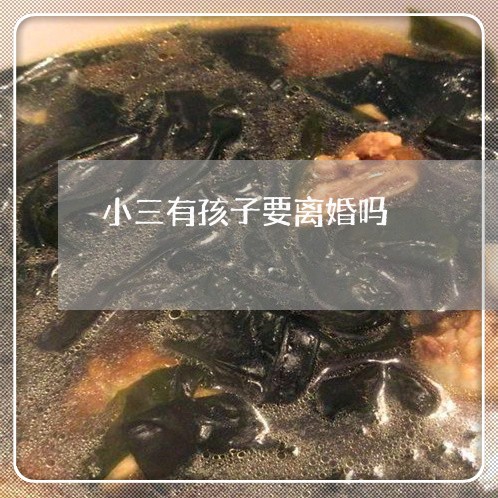 小三有孩子要离婚吗/2023110506151