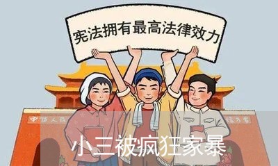 小三被疯狂家暴/2023122051603