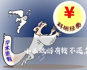 小三败诉有钱不还怎么办/2023110974825