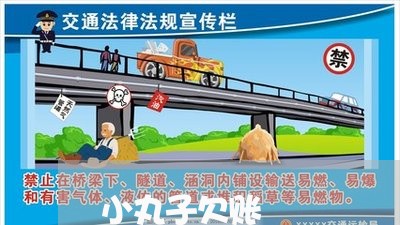 小丸子欠账/2023120739159