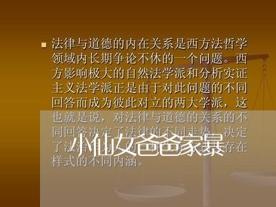 小仙女爸爸家暴/2023091111614