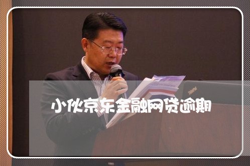 小伙京东金融网贷逾期/2023090706949