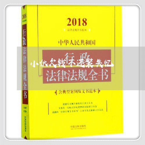 小伙欠钱不还装失忆/2023111630371