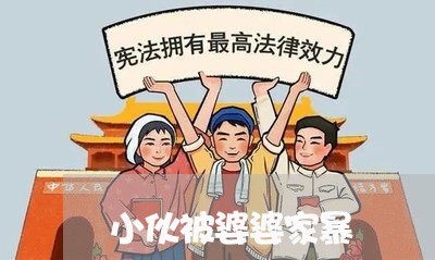 小伙被婆婆家暴/2023090984715