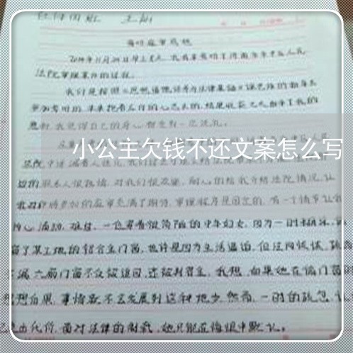 小公主欠钱不还文案怎么写/2023110780682