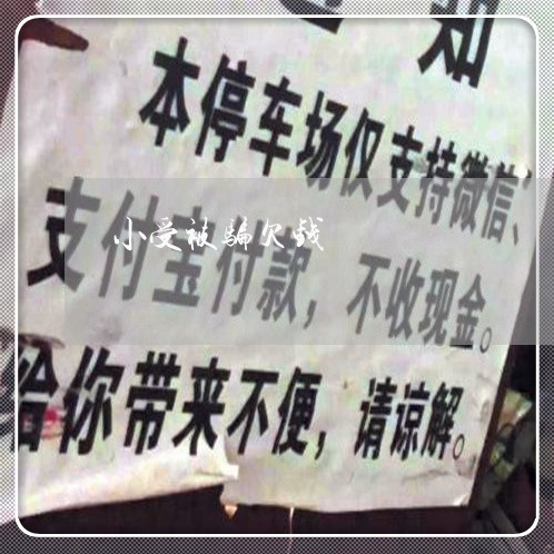 小受被骗欠钱/2023122061694