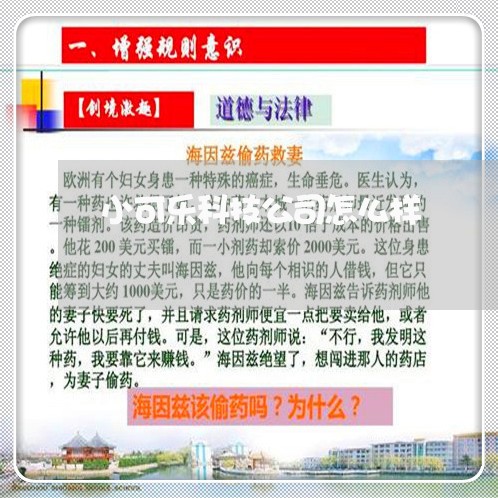 小可乐科技公司怎么样/2023031767159