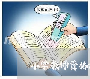 小学教师资格证退费河北/2023062573707