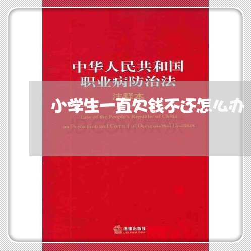 小学生一直欠钱不还怎么办/2023110909258