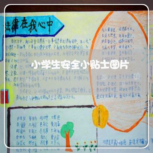 小学生安全小贴士图片/2023040417078