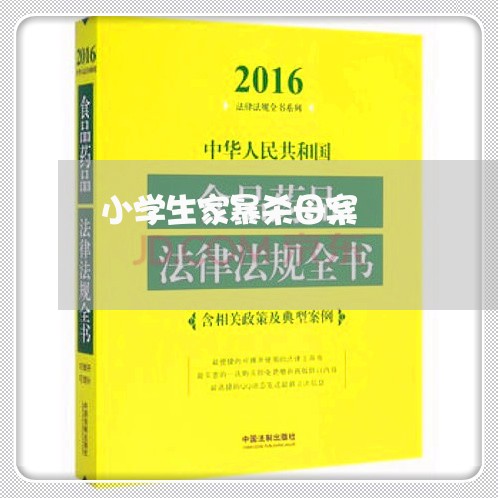 小学生家暴杀母案/2023101004835