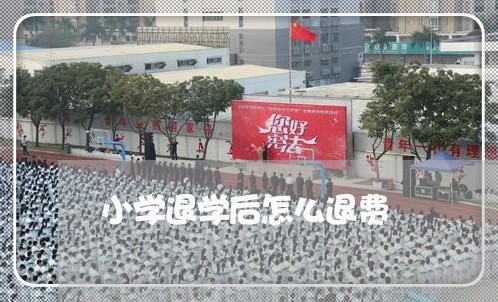 小学退学后怎么退费/2023061625151