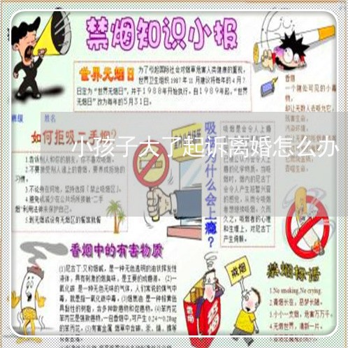 小孩子大了起诉离婚怎么办/2023111460726