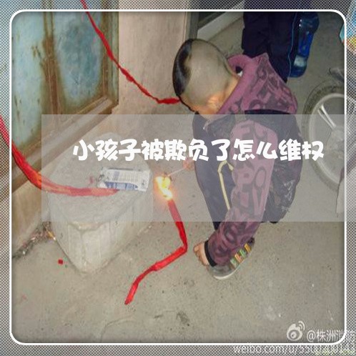 小孩子被欺负了怎么维权/2023052332835