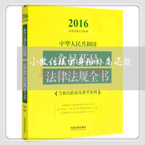 小微信核实身份协商还款/2023092693047