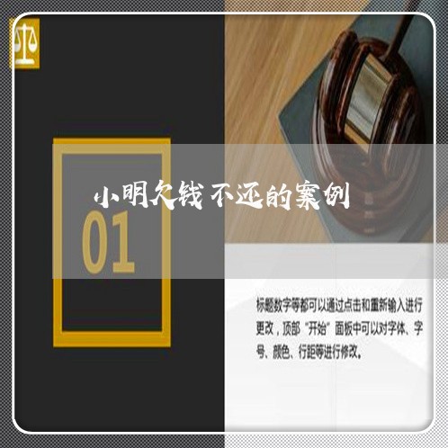 小明欠钱不还的案例/2023111629682