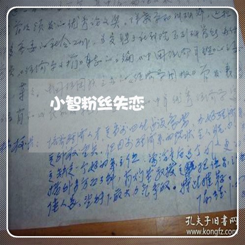 小智粉丝失恋/2023120750392