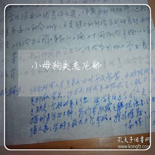 小母狗失恋抑郁/2023092104735