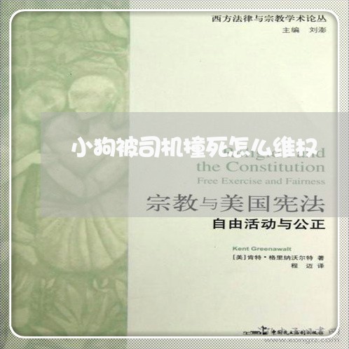 小狗被司机撞死怎么维权/2023062564058