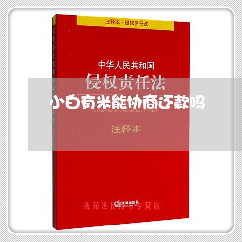 小白有米能协商还款吗/2023092304816