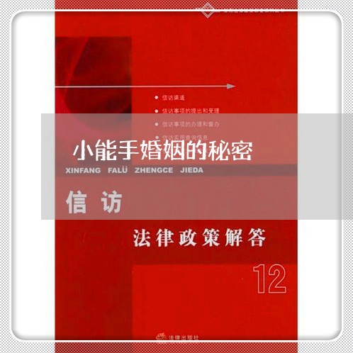 小能手婚姻的秘密/2023081463705