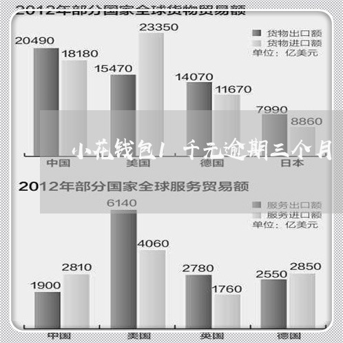 小花钱包1千元逾期三个月/2023052609493