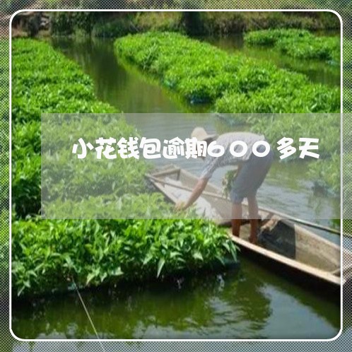 小花钱包逾期600多天/2023080103071