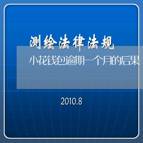 小花钱包逾期一个月的后果/2023080262625