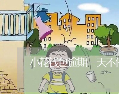 小花钱包逾期一天不催收/2023062231727