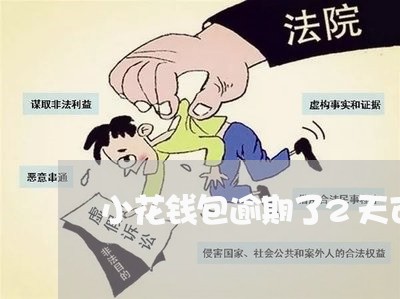 小花钱包逾期了2天可以吗/2023061584169