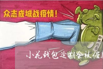 小花钱包逾期会被催款吗/2023080195281