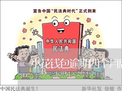 小花钱包逾期四个月后果/2023062270593