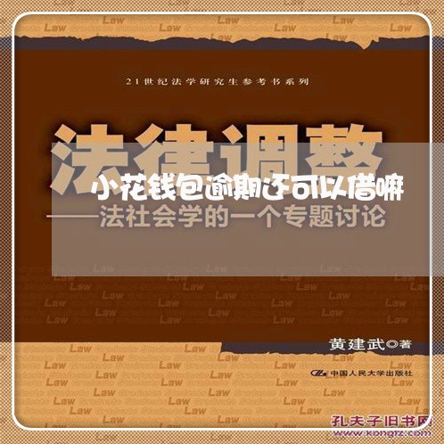 小花钱包逾期还可以借嘛/2023062250792