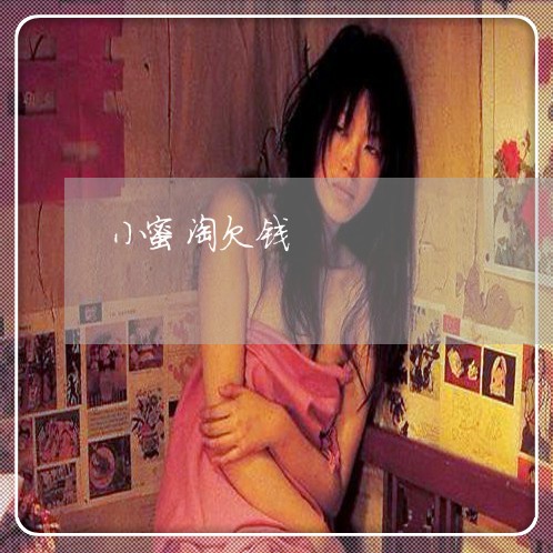 小蜜淘欠钱/2023120750693