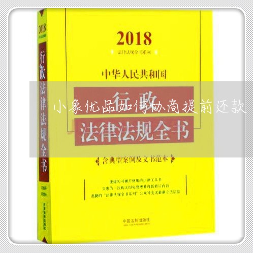 小象优品如何协商提前还款/2023092438260