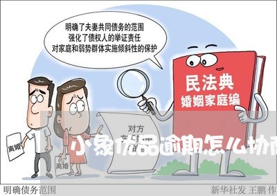 小象优品逾期怎么协商本金还款/2023100650937