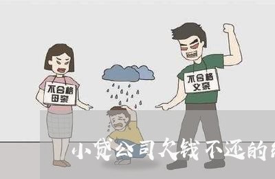 小贷公司欠钱不还的纠纷/2023110269684